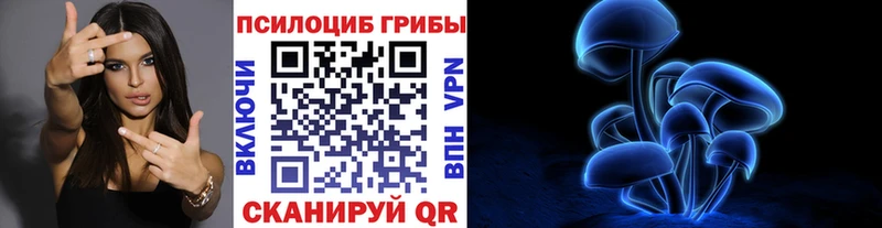 Псилоцибиновые грибы MAGIC MUSHROOMS  магазин продажи наркотиков  Снежногорск 